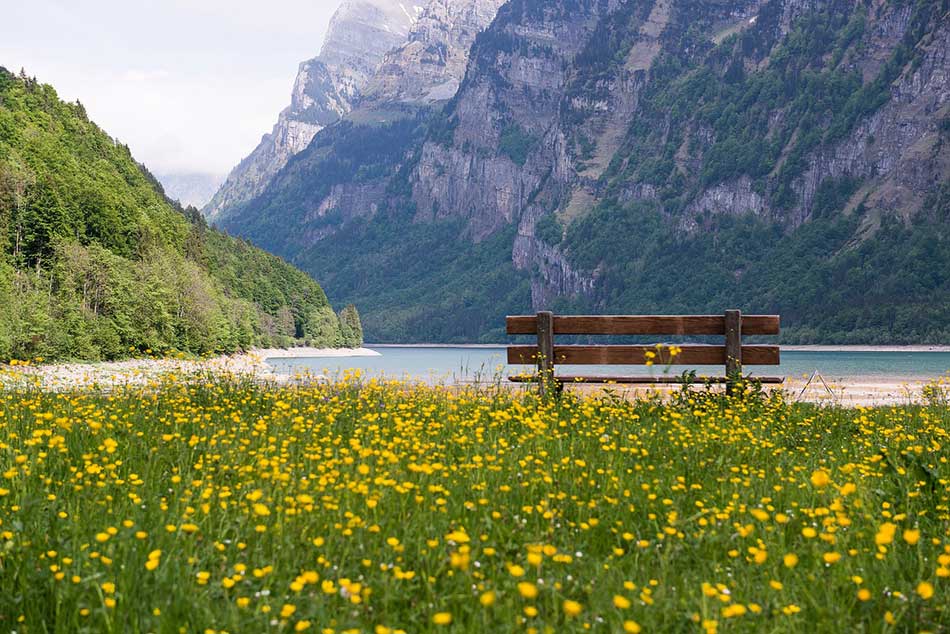 erba-del-confine-svizzera-migliore